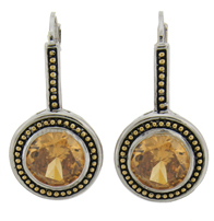 Crystal Cable Earrings 18 KT Gold Accents