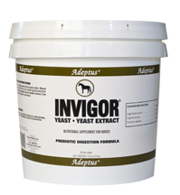 Picture of Adeptus Solid Wood Nutrition 20129 Invigor For Horses 3 lbs.