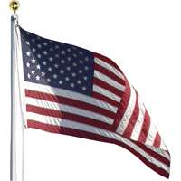 Picture of Valley Forge Flag 7247778 20 ft. Aluminum Flag Pole Kit