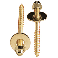 PP23515 Toilet Screw Set, 0.25 x 2.5 In.