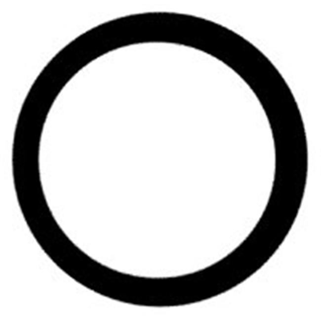 Sta-Rite Industries OK25 Replacement O-Ring For Water Filter