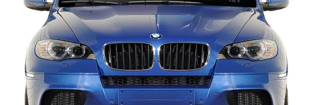 2007-2013 BMW X5 E70 Af-1 Front Bumper Cover Upper Grille Insert Pu-Rim