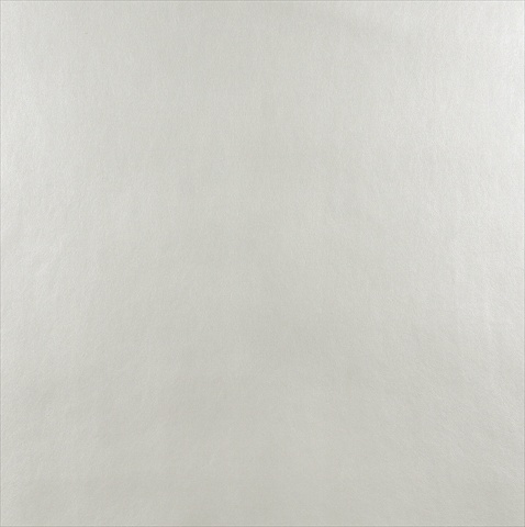 Picture of Designer Fabrics G538 54 in. Wide Shiny Silver- Upholstery Grade Recycled Leather