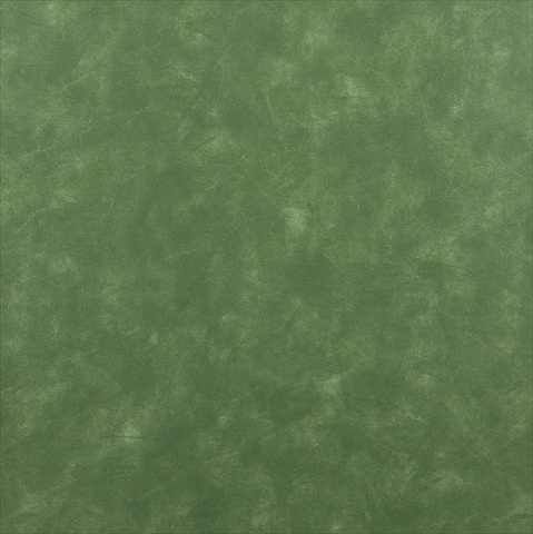 Picture of Designer Fabrics G719 54 in. Wide &#44; Green&#44; Solid Outdoor Indoor Marine Vinyl Fabric