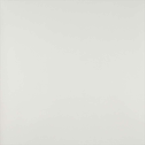 G929 54 in. Wide White Vinyl Fabric