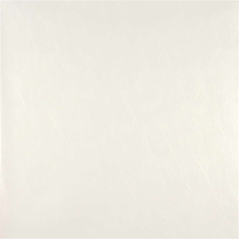 G939 54 in. Wide White Vinyl Fabric