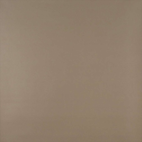 54 in. Wide Beige Vinyl Fabric
