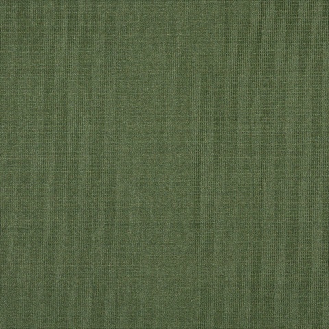 Picture of Designer Fabrics A170 54 in. Wide Dark Green Textured Upholstery Fabric