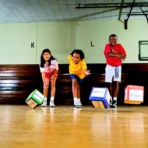 009887 Movecubes With Bodymoves Activity Guide