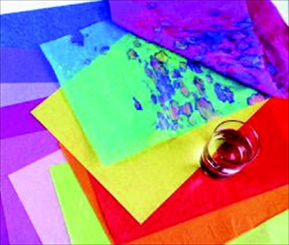 Deluxe Bleeding Recyclable Art Tissue Paper, White - 24 Sheets