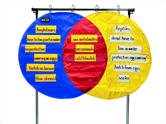 Venn Diagram Pocket Chart