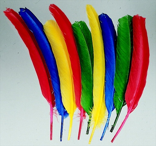 086301 10-12 In. Non-Toxic Long Colored Quill- Pack 100