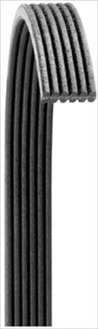6060673 Double Sided Poly Rib Belt