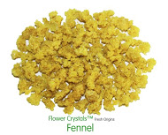 Picture of Fresh Origins 185FENNEL4OZ12 Flower Crystals Fennel- 4 oz. - 6 pack