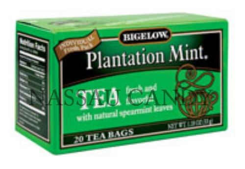 Picture of Bigelow Plantation Mint&#44; 20 Count - Pack Of 6