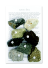 Scott Resources Igneous Rock Set - Set - 8