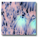 True Flow  Non-Toxic Crystal Magic Glaze- 1 Pint- Northern Light