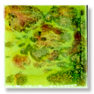 Non-Toxic Colorburst True Flow Glaze1 Pt. - Pistachio