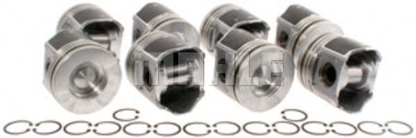 224345402 Ford Super Duty Piston