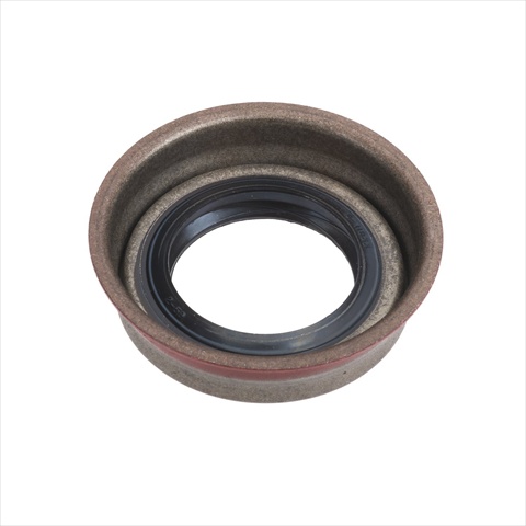 100165 Oil Seal Kit