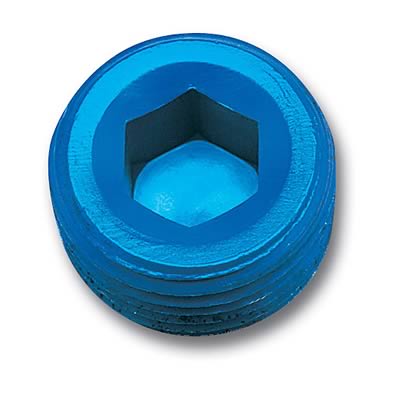 Russell-Edel 662030 Pipe Plug Fitting- Blue