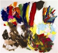 Picture of Art Supplies P4507 3 Oz. Feathers- Brights
