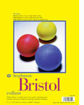 300 Series Bristol Vellum Pad, 9 X 12 In.