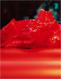 Picture of Gamblin 1520G Reds Oil Paint - 37 ml.- Perylene Red