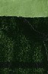 Oil Paint - Permanent Green Light - 37 ml - Vibrant and Versatile