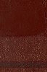 Earths Oil Paint - 37 ml., Raw Sienna