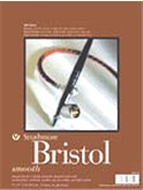 345-12 300 Series Bristol- Vellum 22.5 X 28.5 In.