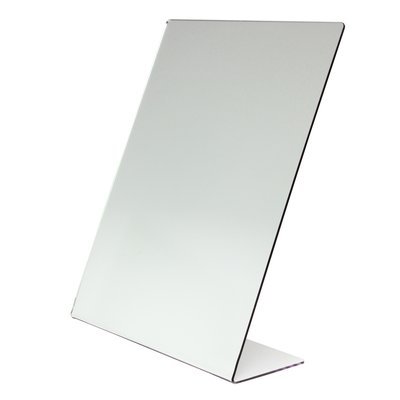 Self Portrait Mirror