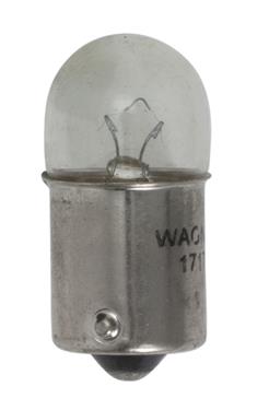 17171 Tail Light Bulb- Clear