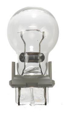 BP3156 Standard Series Back Up Light Bulb