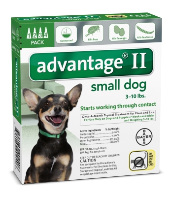 Picture of Bayer Healthcare Animal BY20240 Advantage Ii Small Dog- 4 Pack