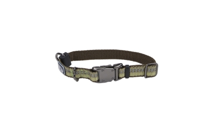 Picture of Coastal Pet Products CO36922 26 in. Reflective Adjustable Collar - Fern Green