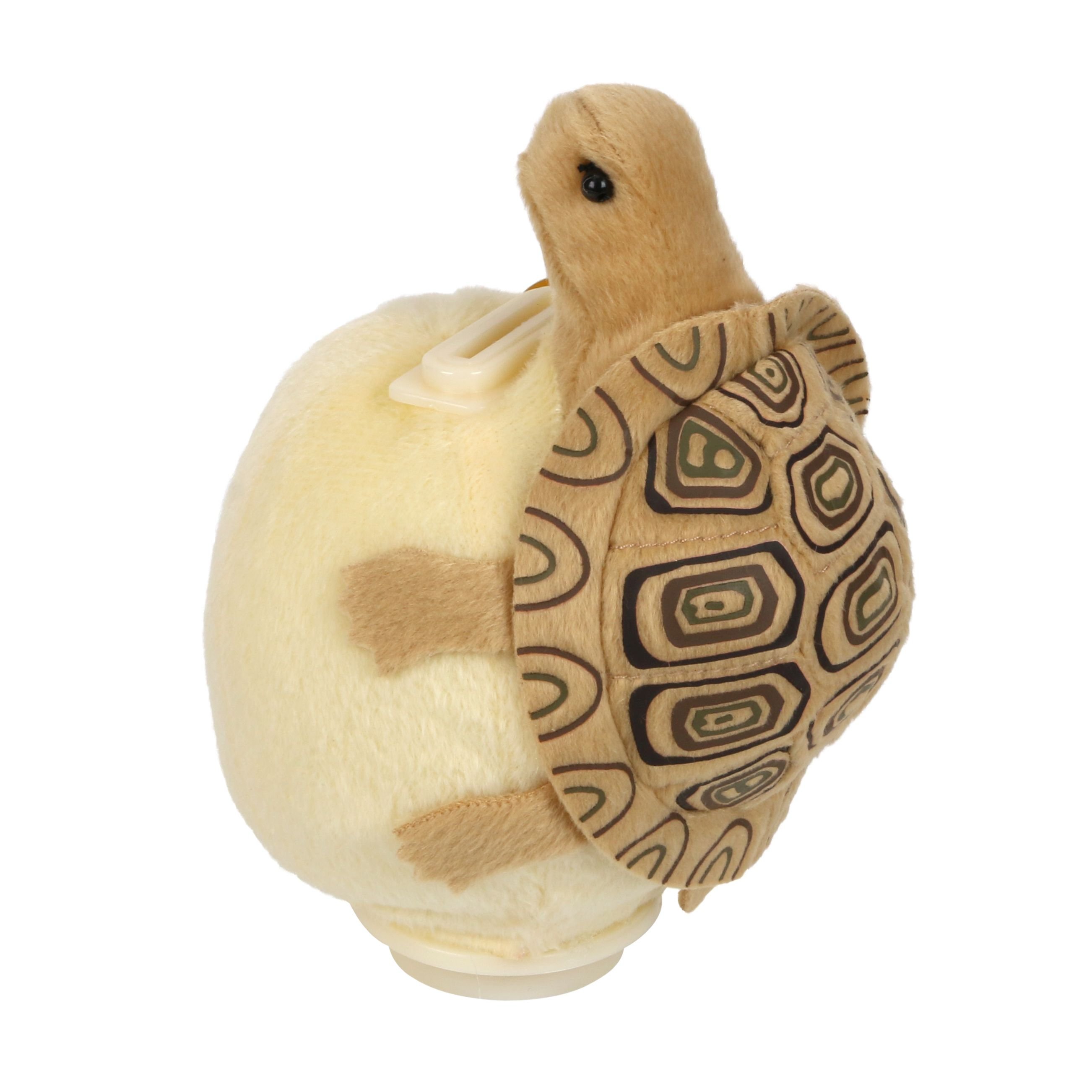 Picture of Sunny Toys 6320 Piggy Bank Turtle