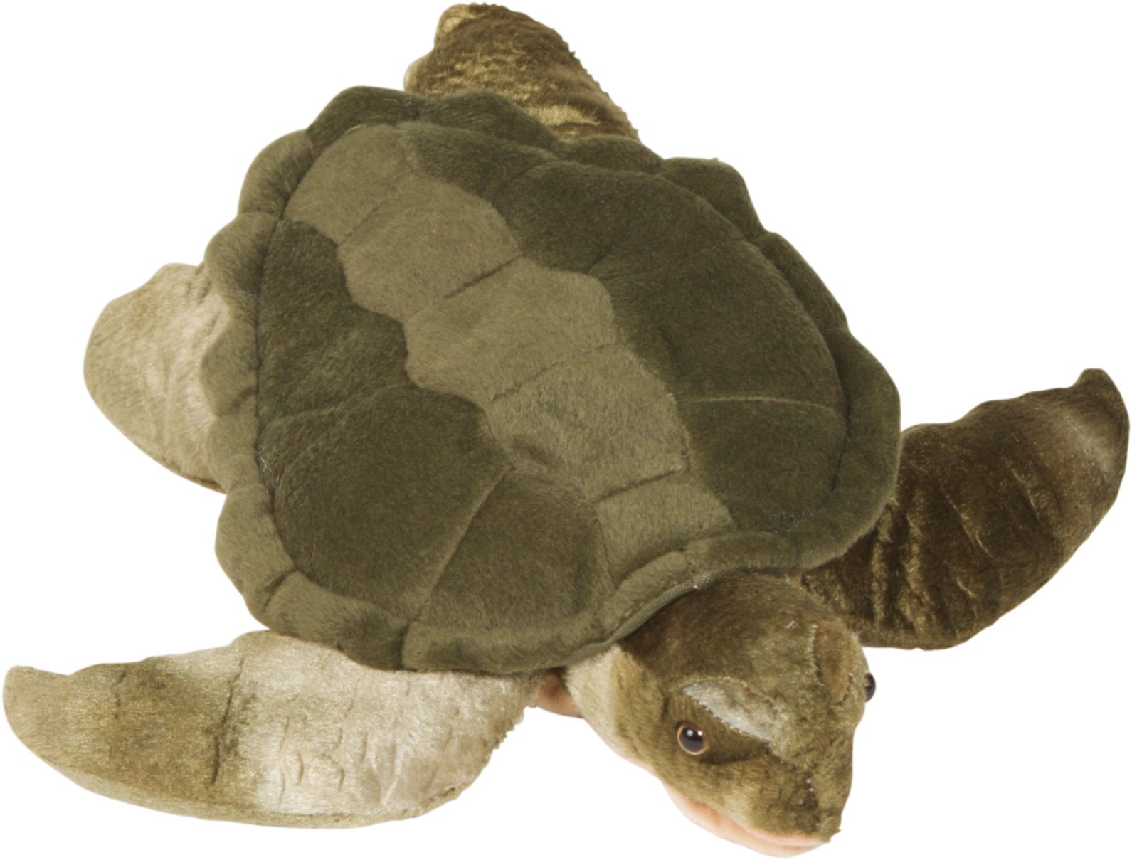 Picture of Sunny Toys NP8153 14 In. Turtle - Green- Animal Puppet
