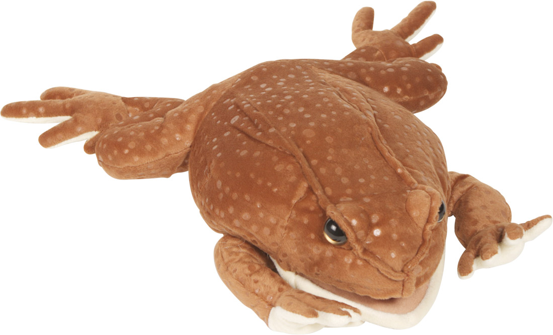 Picture of Sunny Toys NP8219 12 In. Toad - Marine- Animal Puppet