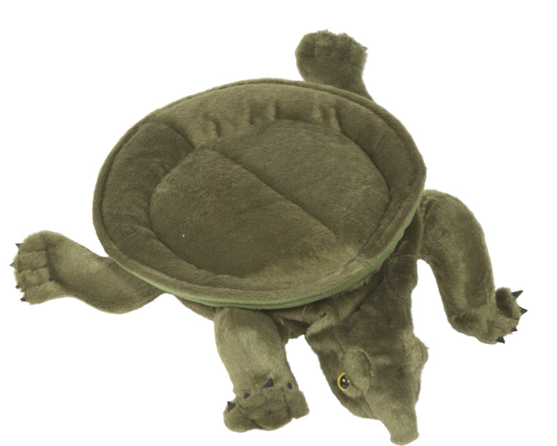 Picture of Sunny Toys NP8222 14 In. Turtle - Softshell- Animal Puppet