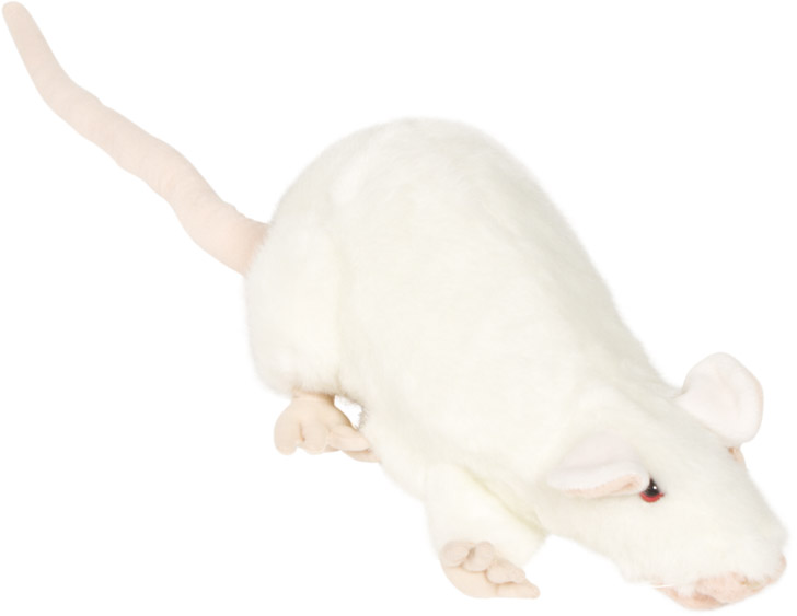 Picture of Sunny Toys NP8229A 13 In. Rat - White- Animal Puppet