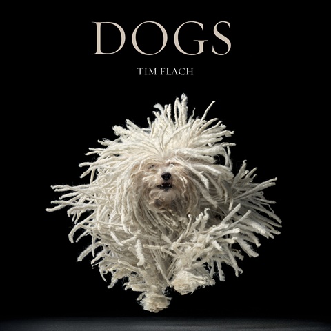 Picture of Abrams Books Dogs Book