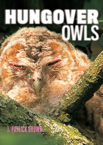 Picture of Abrams Books Hungover Owls Book