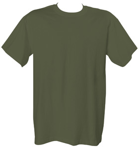 1717 Chouinard Adult Ring-Spun Tee - Sage- 2X