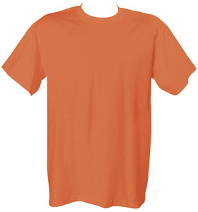 1717 Chouinard Adult Ring-Spun Tee - Burnt Orange- Large
