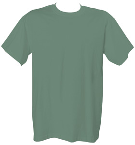 1717 Chouinard Adult Ring-Spun Tee - Light Green- Extra Large