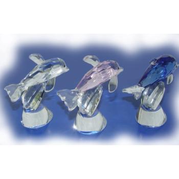 Picture of DDI PV1378756 Crystal Dolphin&#44; Pack - 16
