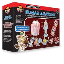 Human Anatomy Large Science Kit