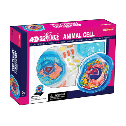 26700 4D Science Animal Cell Model -  Tedco Toys