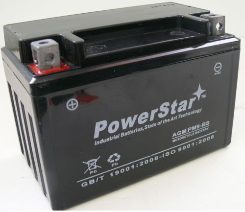 pm9-bs-114 Battery Fits Or Replaces Suzuki Motorcycle 650 Cc 2007-1998 Dr650Se -  PowerStar